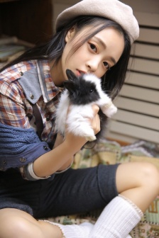 宏图网课